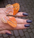 .... budzą się motylki ... 