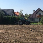  Pielęgnacja i Chirurgia Drzew 