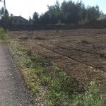  Pielęgnacja i Chirurgia Drzew 