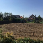  Pielęgnacja i Chirurgia Drzew 