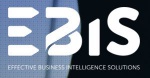 Ebis Group Logo