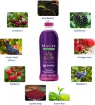 Suplement  Synergi  Sok z 8 Owoców 